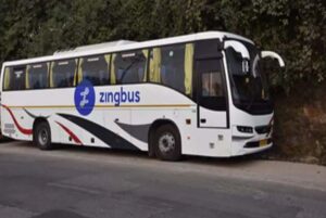 zingbus